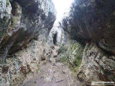 Nacimiento Río Cuervo;Las Majadas;Cuenca;valsain ruta del oso motilla del azuer puerto navacerrada